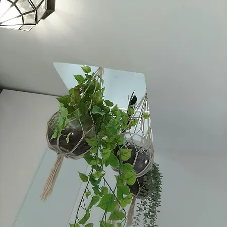 Juderia - Parking * Cordova