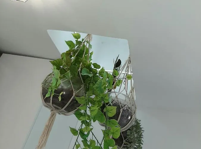 Juderia - Parking * Cordoba